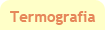Saiba mais sobre Termografia